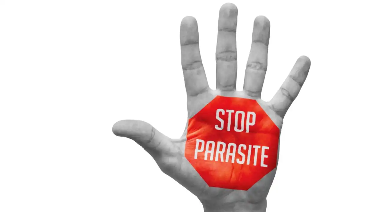 Как избавиться от паразитов?